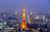 Купить билет на самолет Нидерланды Амстердам AMS Токио Япония NRT авиабилеты онлайн расписание