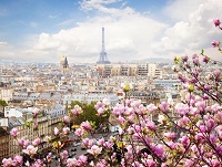 Купить билет на самолет Австрия Вена VIE Париж Франция CDG авиабилеты онлайн расписание