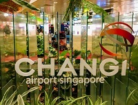 Аэропорт, который вам не захочется покидать: Чанги назван лучшим аэропортом 2018 года